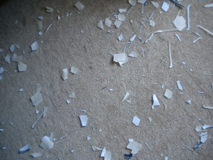 pieces of paper on carpet